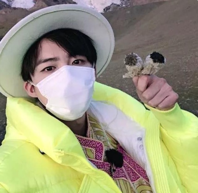 人称“水母雪兔子”,一生只开一次花,这种植物很漂亮见到请珍惜