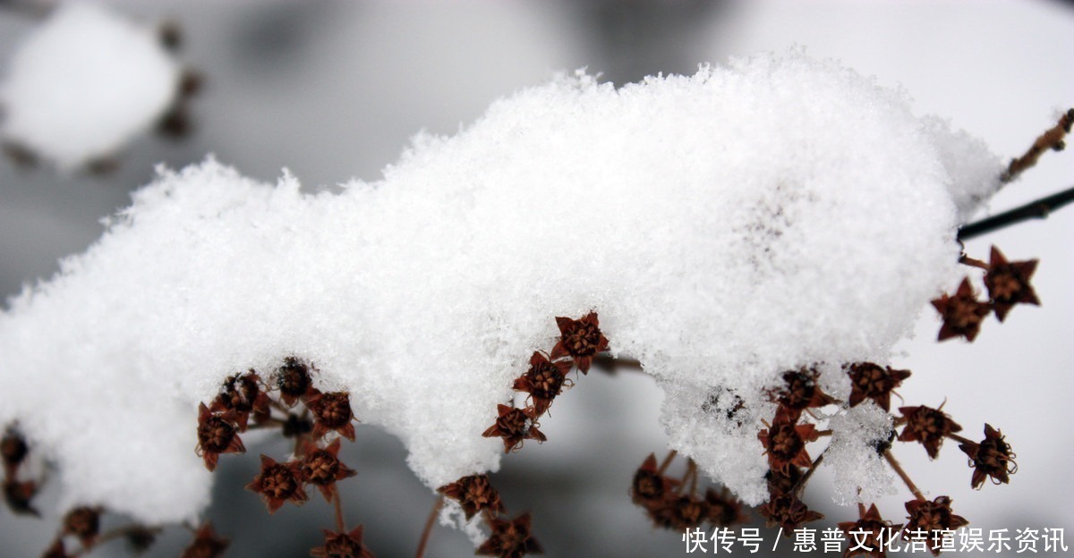 咏雪|白居易深夜被冻醒，写下一首20字小诗，新颖别致，被誉为咏雪佳作