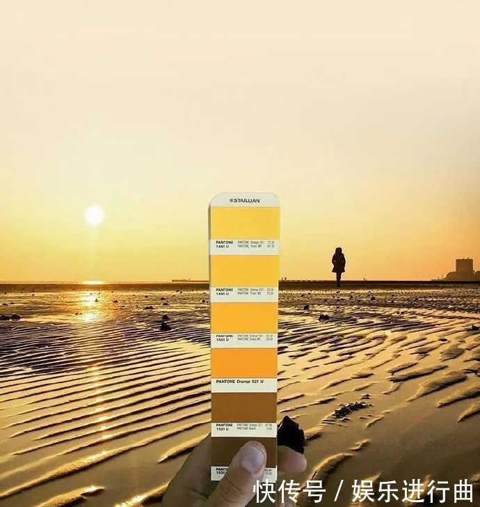 参考|配色参考|INS博主超有趣的自然高级配色!插画设计存起来!