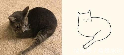 猫咪&“灵魂画手”笔下的宠物,抽象又搞笑的画风,完美抓住了“灵魂”