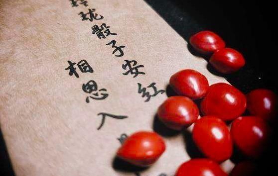 女主人公|温庭筠的这首诗，只有短短二十八字，却把相思写得刻骨铭心