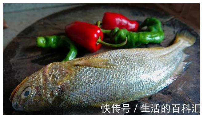 鱼肉|入夏后,这6种鱼正当鲜,钙含量高,常做给孩子吃,长个不用愁