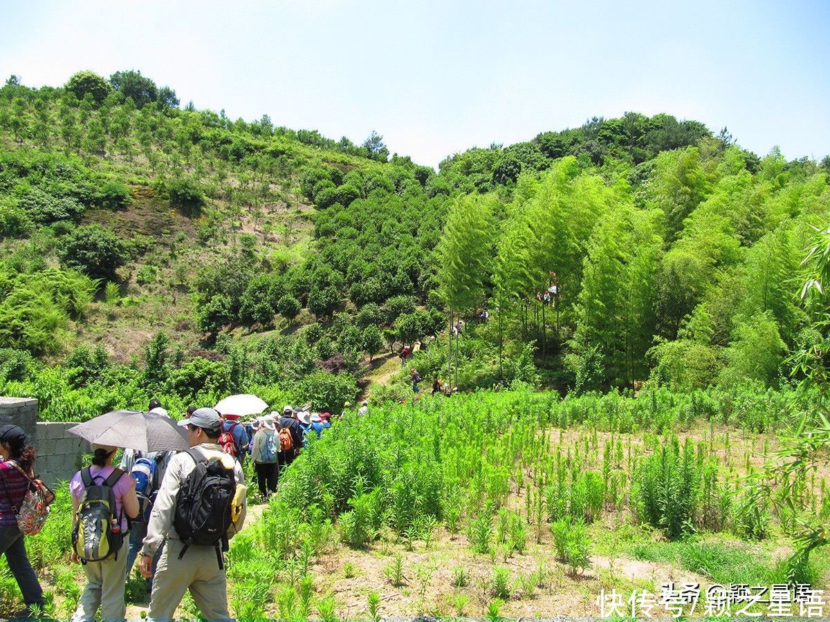 宁波山顶洞人遗址，原始秘境，仍有人居住