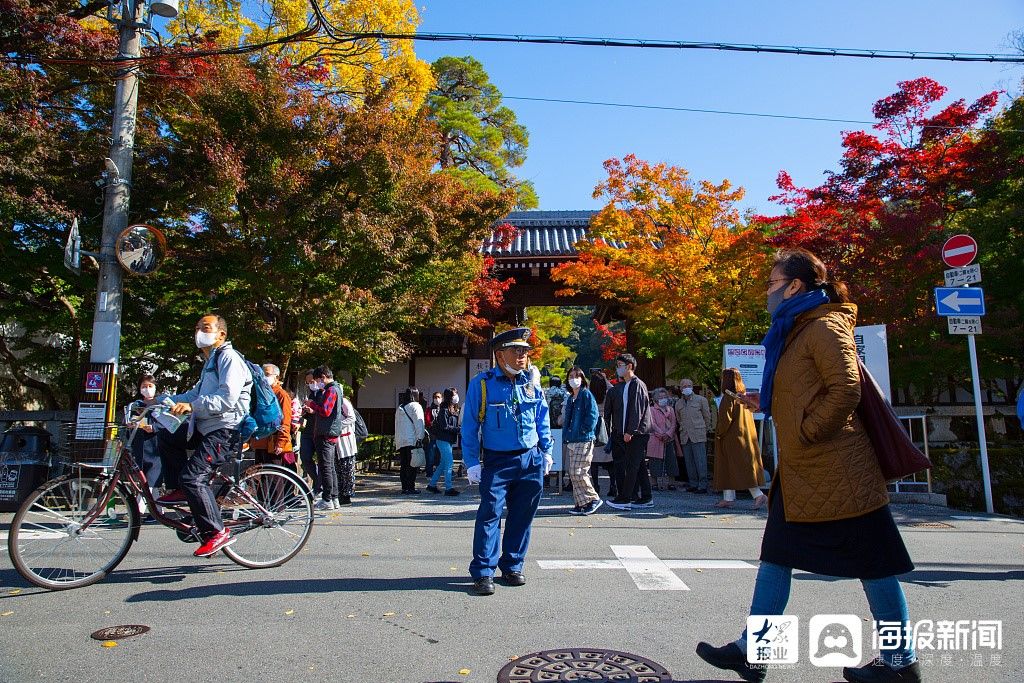 京都|京都醍醐寺内秋景美不胜收