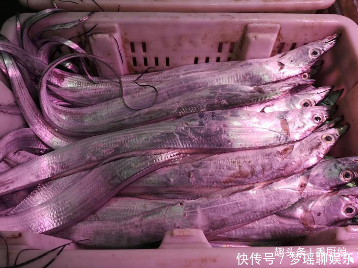 带鱼|过年吃鱼,就买此3种鱼,到现在也没法人工养殖,便宜吃着还放心