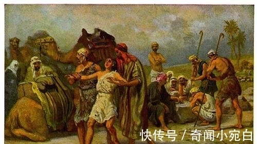 20条冷知识,奇怪又有趣,最后一条,我发现了工作的奥秘了