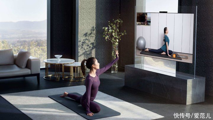 lemon|售价上万的健身镜,是健身赛道的新未来,还是资本的新玩具?