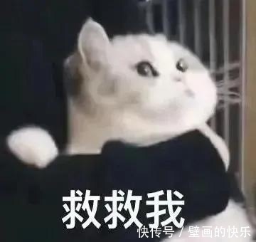 |搞笑图集:大学信息采集的黑发要求,逼疯校门口的洗发师