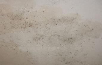 开裂|旧房墙面翻新怎么处理?看过来~这里有贝树墙衣