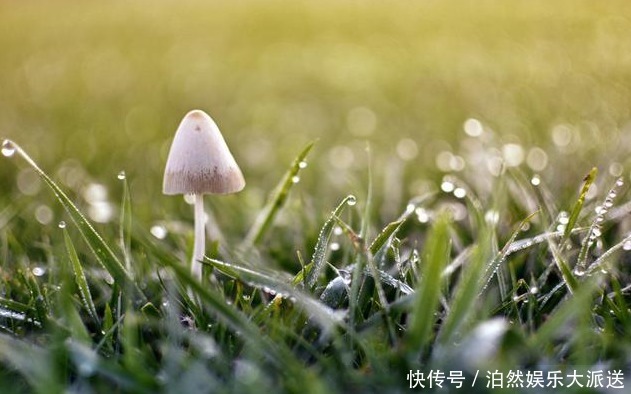 薏米红豆汤|喝薏米红豆汤祛湿的人,至少犯了5个严重错误!难怪你吃完没效果