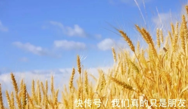 盾牌@智者深藏,愚者炫耀