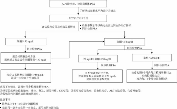 前列腺癌|《前列腺癌睾酮管理中国专家共识（2021版）》更新要点解读：将规范化睾酮管理贯穿前列腺癌诊疗全程