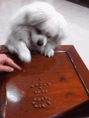 |搞笑GIF趣图哥们，拖鞋纹身不离手，辣条吃了一口又一口！