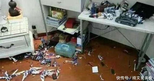 熊孩子|“一堆破塑料20万,你想讹钱?”熊孩子弄坏手办,父母拒绝赔偿