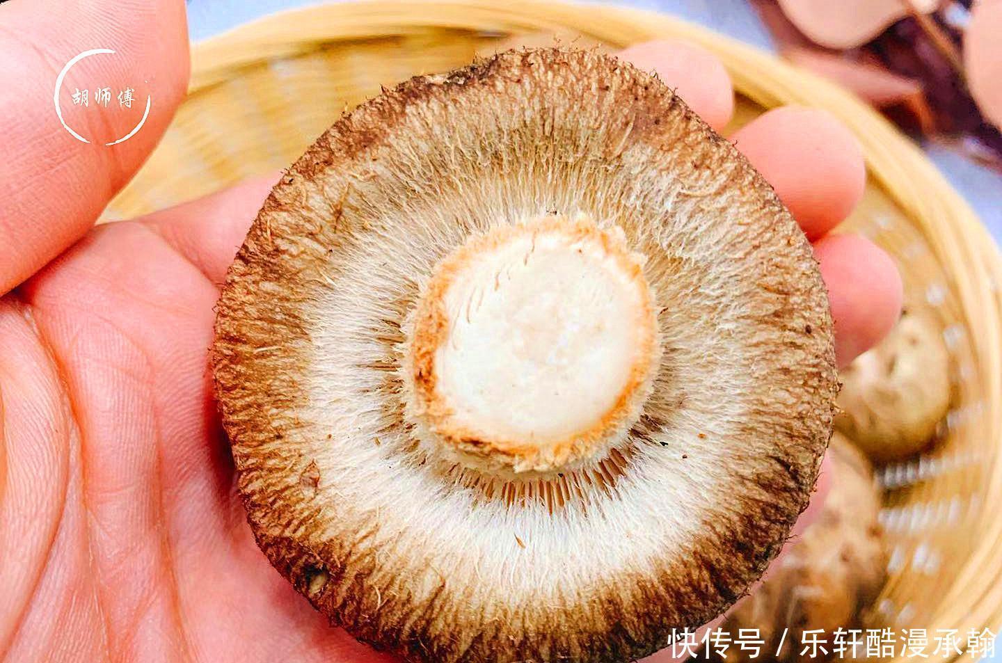 买香菇时,买“轻的”还是“买重”的差别挺大,弄懂再买心有底