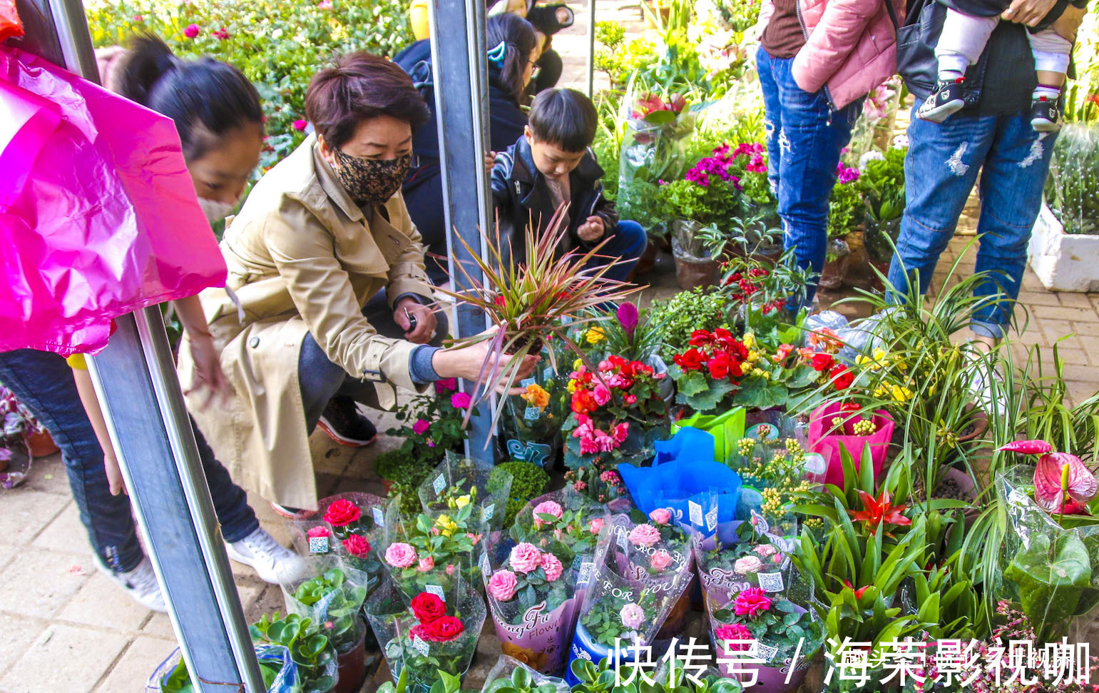 花卉|安徽淮北花卉市场，众多市民购买鲜花，看看你喜欢什么花卉