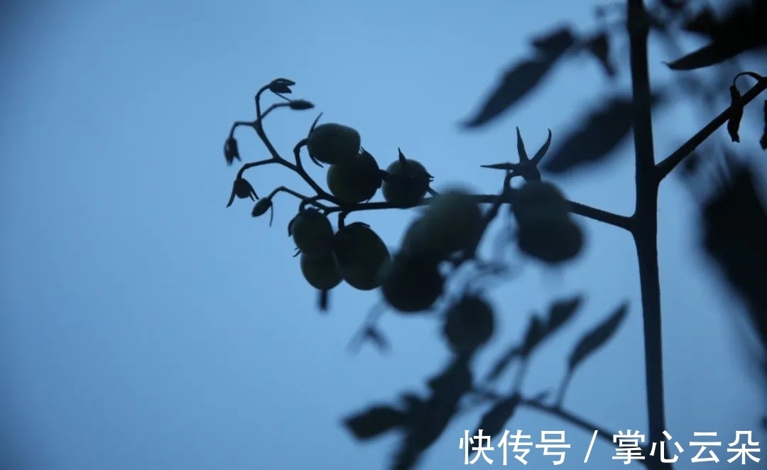 余秀华#木心的冬日情诗,好温柔!