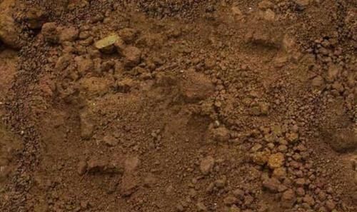 这4种土不能养花,很容易招虫烂根,养啥花都活不久