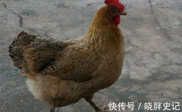 下联!5个流传千古的对联,水平有目共睹,期待你的欣赏