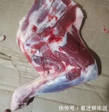 后腿|买羊腿时，是前腿好还是后腿好？肉贩：差别很大，建议搞清楚再买