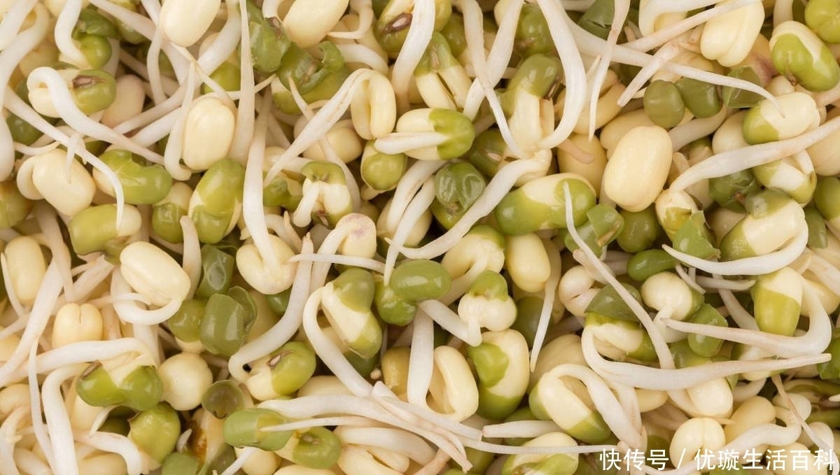 泡沫箱|冬天就是火锅季,这时候涮点自己种的新鲜菜,心里倍儿爽