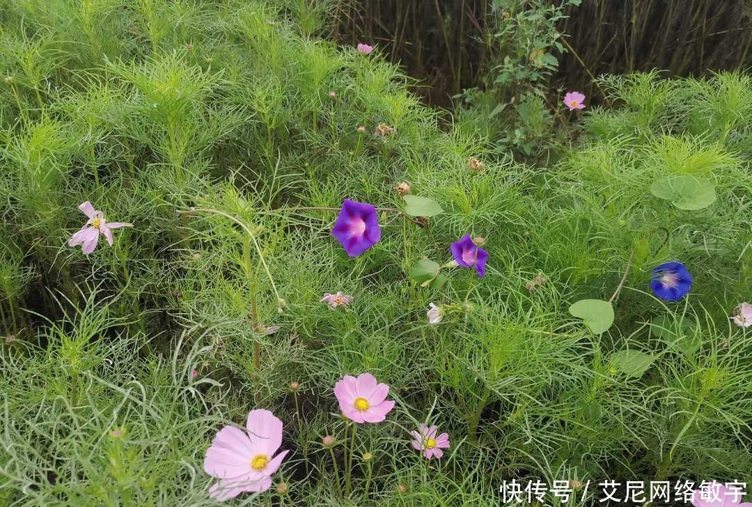 道德品质|曾国藩:自修之道莫难于养心,重读经典求得大悔大悟