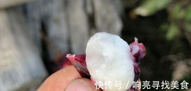 椭圆形|山里有一种美味的野果悄悄成熟了，这种野果你有吃过吗！