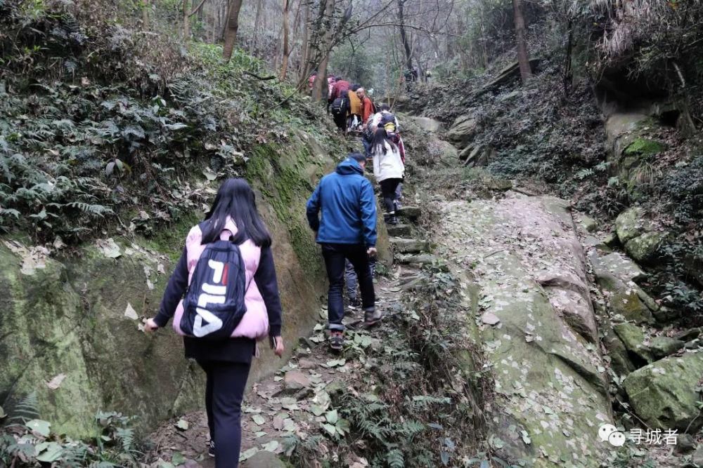 更喜南山千倾野，卅公里后尽开颜