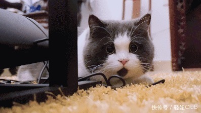 饥饿|体重过百的女生,睡前坚持3件事,第二天起床,体重降低0.1-0.2kg!