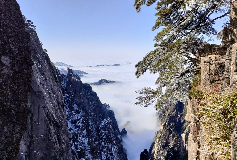 云海|雪后初晴 黄山之巅处处欢声笑语