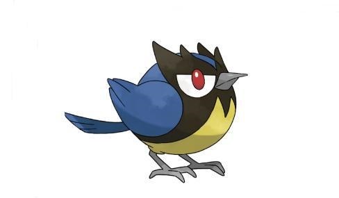 多强|《宝可梦》图鉴821无论多强的敌人都勇于挑战——稚山雀