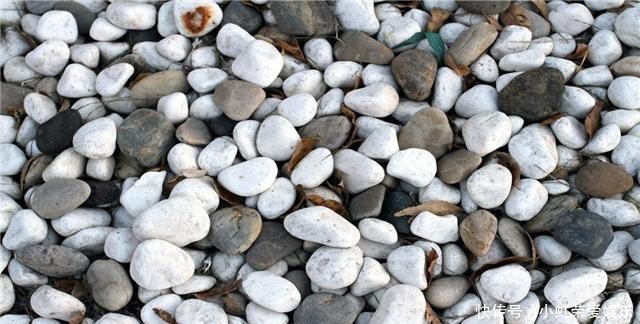 到底|河滩上那些白色的石头, 到底是什么 会不会是玉石呢