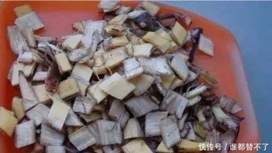 香蕉皮|香蕉皮别扔,加勺子“粉末”泡一泡,就是养根“万能肥”
