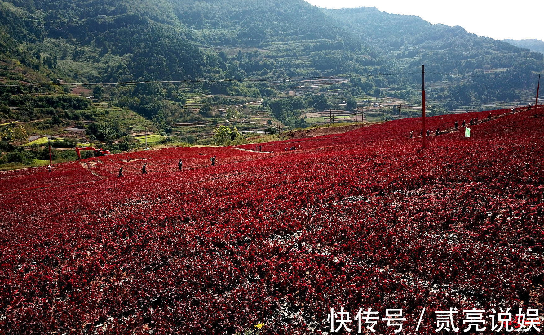 观景台|超燃！大山惊现超大“五星红旗”，占地相当于11个半足球场大