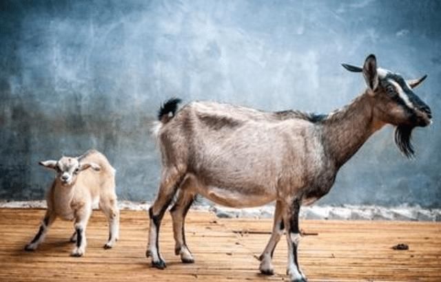  霉运|“霉运降临有端倪”：老祖宗留下4句处世之道，助你混得风生水起