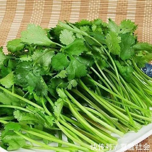 普通话|香菜学名叫什么？很多农村人的叫法才正确，为何在历史上被误传