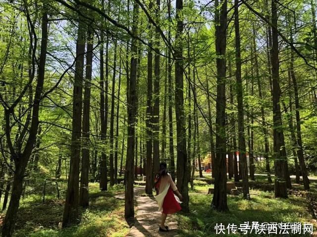 汉中|自驾游去哪儿?来汉中这里感受绝美的初夏风光