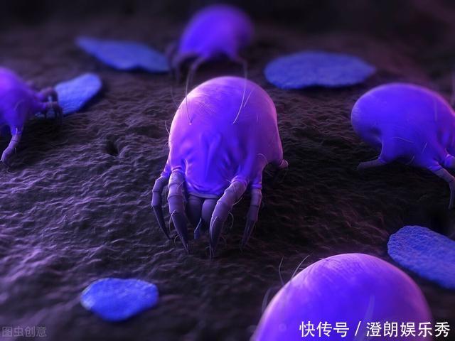除螨|你可能已被“寄生虫”包围,有的在你脸上打洞,还有的住在毛囊里