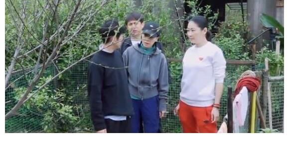彭彭|《向往》迎来公敌，还没出场就被黄磊判死刑，惨遭彭彭出卖