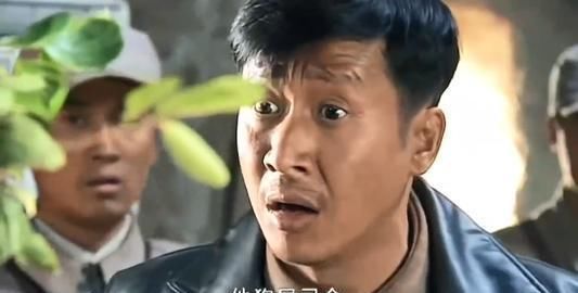 兄弟|《我的兄弟叫顺溜》中，陈大雷这个军分区司令到底是什么级别？