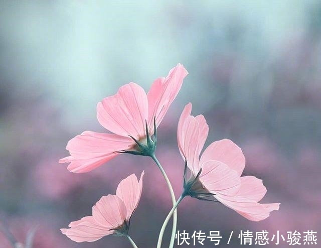 会议论$看到内心都发颤的话,句句精品,道尽人生百态!