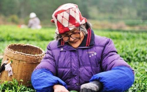  年龄|活到多大年纪算长寿男人与女人标准不一，但超过此年龄就很好了