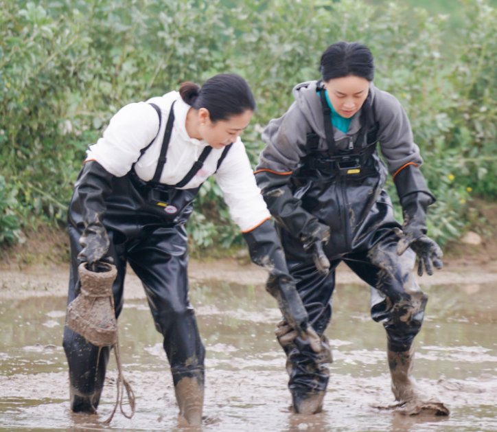 银屏|下期《向往5》预告:张子枫“银屏初吻”来做客,可把黄磊气坏了