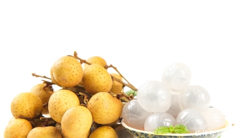 中藥古今研究:龍眼肉(桂圓)