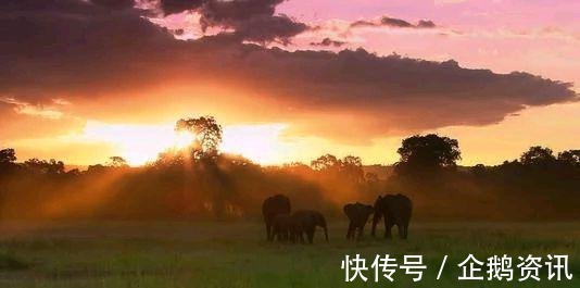 精彩片段|五本完结后仍旧巅峰的玄幻小说，高评分高质量，本本经典你看过吗