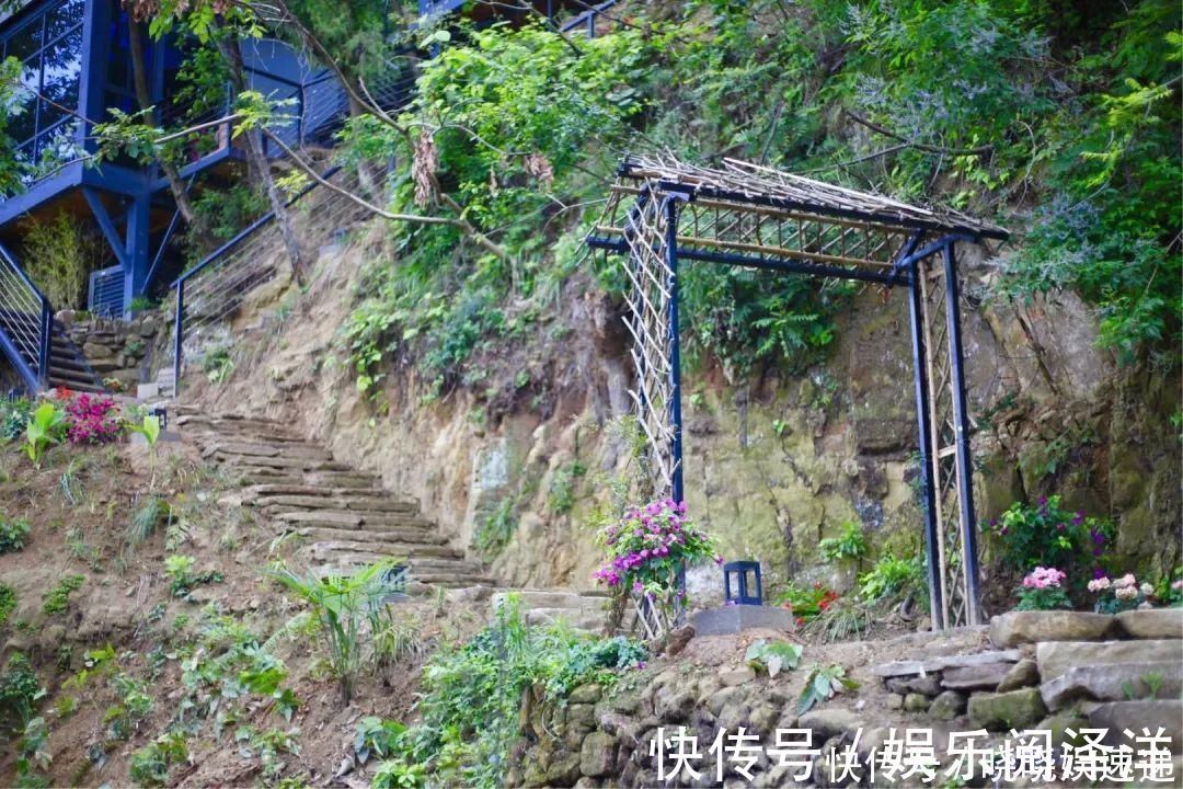 在乡下改造一个小院，种菜养花天天都是乡村田园梦，生活如此惬意