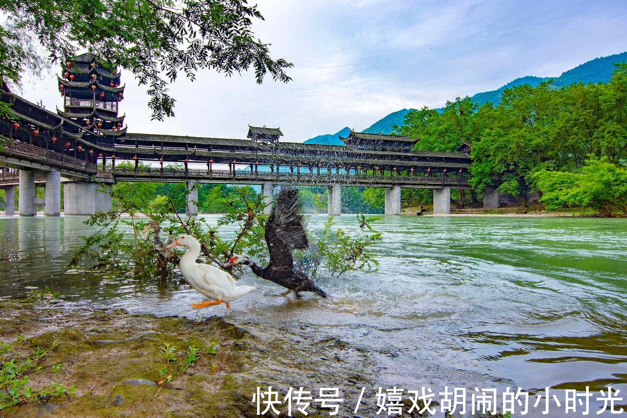 风雨桥|藏在深山的世界最长风雨桥不是山水画，却是山水