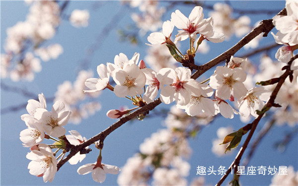 马人|未来7天财神坐镇，富贵缠身，财运一路升腾，赚得丰钵盈盆的生肖