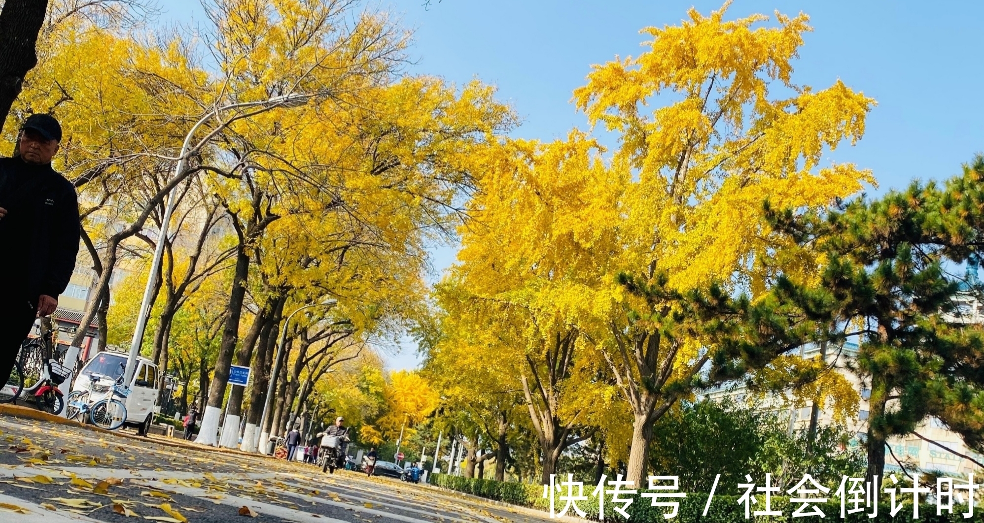 秋老虎|8月7号立秋，今年是早立秋还是晚立秋？立秋后还热吗？