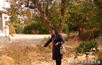 青海|1982年青海两兄妹挖水管道,挖到7万枚银元,上交后获一等功